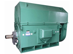 莱州Y系列6KV高压电机
